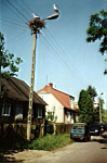 Sztabin
