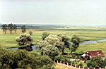Biebrza w Gonidzu