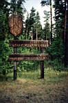 Arboretum w Kopnej Grze