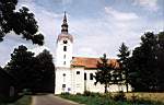 Koci w Boguchwaach