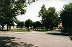 Rogono - rynek