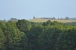 Widok na grodzisko nazywane ”Kapeluszem”.