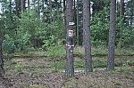 Dywity. W drodze na camping.