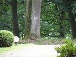 Nowa Wieś Zamek. Ciekawostka: <br>w tym miejscu niebieski szlak skręcał przez zamkniętą bramę do parku przypałacowego i dalej nad jezioro Zbąszyńskie.