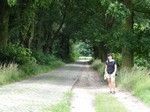 Dąbrowa. Dalej poszliśmy słabo oznakowanym czerwonym szlakiem ... drogą "brukowo-gruntową".