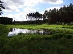 Po drodze zrobiliśmy sobie przerwę nad leśnym zbiornikiem.