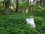 Kilkaset metrów dalej na zalesionym pagórku przy drodze zobaczyliśmy kirkut z XIX-wiecznymi nagrobkami.