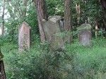 Kilkaset metrów dalej na zalesionym pagórku przy drodze zobaczyliśmy kirkut z XIX-wiecznymi nagrobkami.