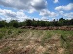 Droga wzdłuż "zębów smoka" wyprowadziła nas na łąkę z obornikiem.