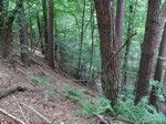 Dobrze zachowana struktura umocnień, szczególnie dobrze widoczne są okopy ze stanowiskami strzeleckimi od strony pokaźnego wąwozu.