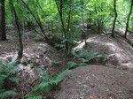 Dobrze zachowana struktura umocnień, szczególnie dobrze widoczne są okopy ze stanowiskami strzeleckimi od strony pokaźnego wąwozu.
