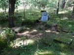 Jezierce. Za osadą dostrzegliśmy w lesie dawny cmentarz.