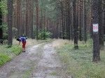 Z Goszczanowa długi czas szliśmy szerokim leśnym duktem, któremu leśnicy nadali nr 44.