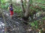 Wędrując wzdłuż brzegu jeziora Głęboczek musieliśmy przedzierać się przez bagna.