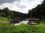 Okolice Kolna.