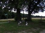 Polnymi drogami wędrowaliśmy do Chalinia.