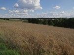 Widok ze wzgórza koło Góry.
