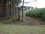 Widok na Łysą Górę.