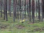 Krzyż w okolicach leśniczówki Dębogóra.
