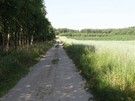 ... i wśród pól zmierzaliśmy w stronę Bugu.