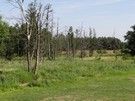 Kierując się tymi główniejszymi oraz wspomagając kompasem doszliśmy do Bużki