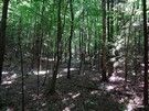 Rez. Zabuże.