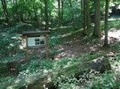 Rez. Zabuże.