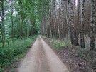 Po ugaszeniu pragnienia udaliśmy się żółtym szlakiem przez starorzecza Bugu...