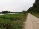Po ugaszeniu pragnienia udaliśmy się żółtym szlakiem przez starorzecza Bugu i położony w zakolu rzeki Wajków do Mielnika.