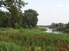 Mielnik. Nad Bugiem.