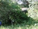 Moszczona Królewska. Najpierw namierzyliśmy bunkier nr 10...