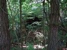 Trzeba było nieźle się przedzierać do ukrytego w krzakach kolejnego bunkra nr 13 „Blestiaszczyj”.