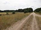 Za Szerszeniami w oddali dostrzegliśmy coś przypominającego bunkier.