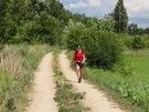 Zajęczniki. Szliśmy gruntową drogą przez rozległe nadrzeczne łąki.