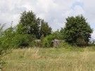 Na wejściu do Zajęcznik dostrzegliśmy ukryty w kępie drzew pierwszy schron.