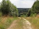 ... na które wyprowadził nas szlak.