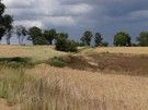Na szczęście przed Drohiczynem szlak skręcił w polną drogę.