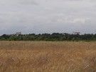 Szliśmy malowniczą drogą pośród łąk, za plecami przez długi czas widoczne były wieże drohiczyńskich kościołów.