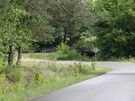 Mogielnica, most nad rzeczką Myślą.