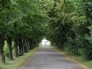 Dotarliśmy do Wirowa Klasztoru, końcowy odcinek wiódł omdlewająco pachnącą, piękną aleją lipową.