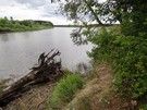 Miejscami musieliśmy się przeciskać między krawędzią klifu a drzewami zwalonymi przez wichury i bobry.