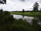 Później szlak oddalił się od głównego nurtu rzeki, szliśmy duktem wzdłuż starorzecza.