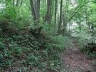 Niewiadoma. Za dworem, trafiliśmy na grodzisko na mapie nazwane "Wały Jaćwingowskie". Podwójne wysokie wały i rozmiary obiektu zrobiły na nas ogromne wrażenie.