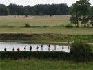 Z okien zamku dostrzegliśmy, jak grupki turystów z obu tras skracają drogę przez Liwiec.
