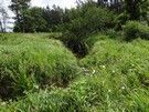 Doszliśmy do rzeczki Struga, do jej przejścia należało zdjąć obuwie.