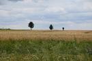 Przechodząc przez widokowy grzbiet...