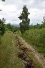 Widok z podejścia na Górę Dąbrowa.