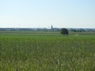 Widok z k na Rozprz. 15.06.2017