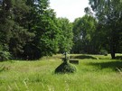 Borowa. Cmentarz polegych w I wojnie wiatowej. 15.06.2017