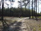 Po dojciu do wyrbu (21,2 km)... 08.04.2017